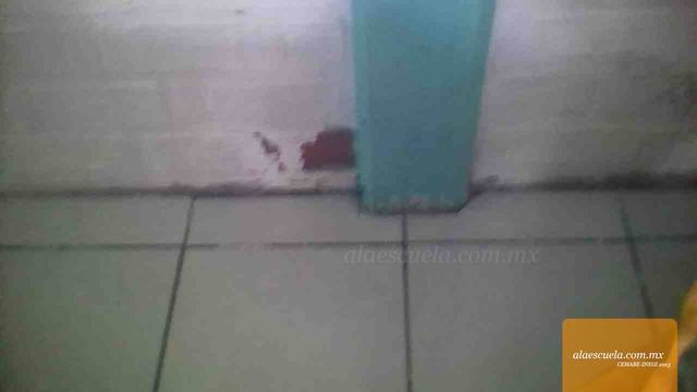 Aulas (vista previa)