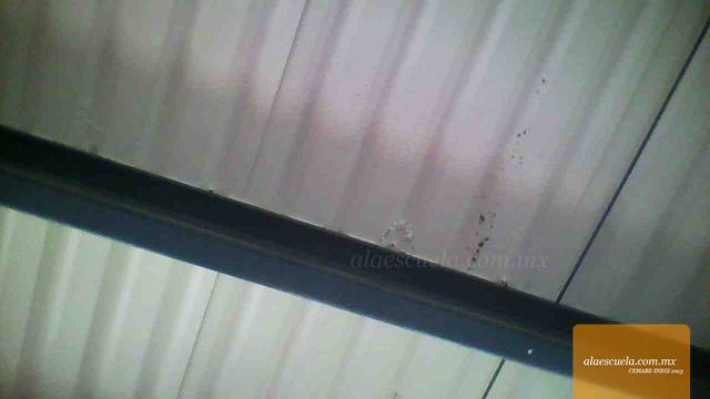 Aulas (vista previa)