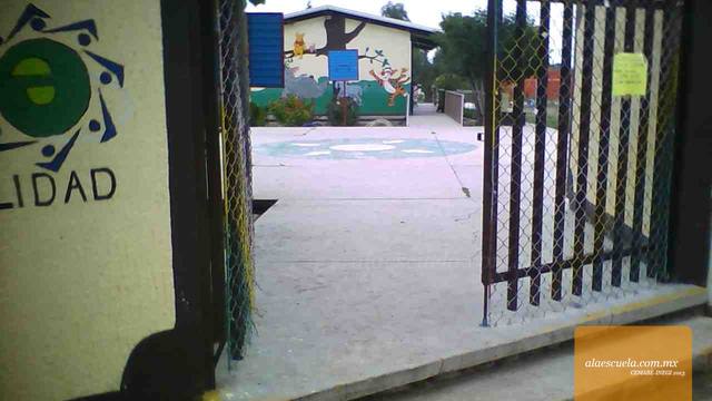 Entrada (vista previa)