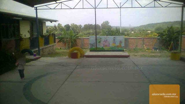 Entrada (vista previa)