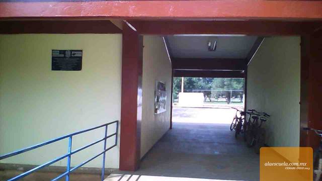 Entrada (vista previa)