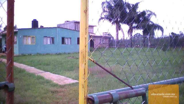 Entrada (vista previa)