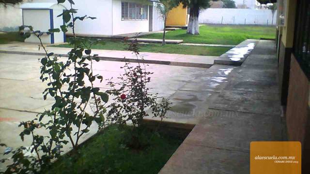 Áreas (vista previa)