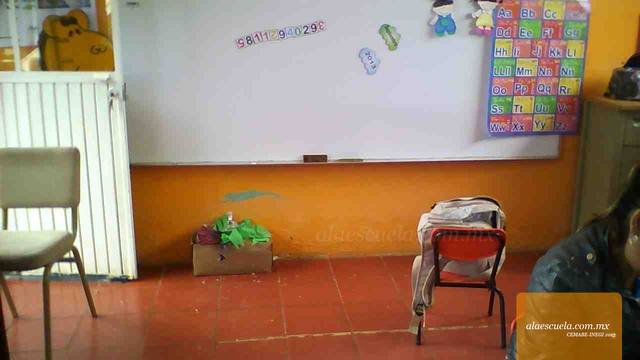 Entrada (vista previa)