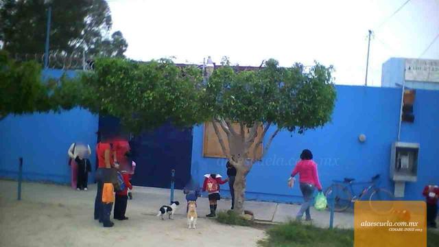 Entrada (vista previa)