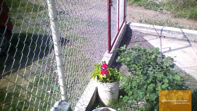 Entrada (vista previa)