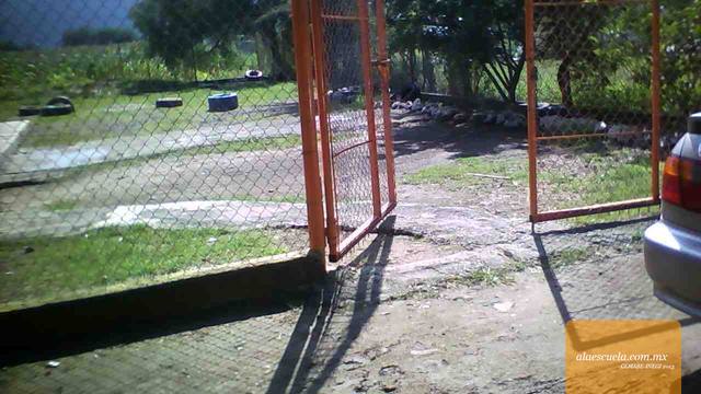 Entrada (vista previa)