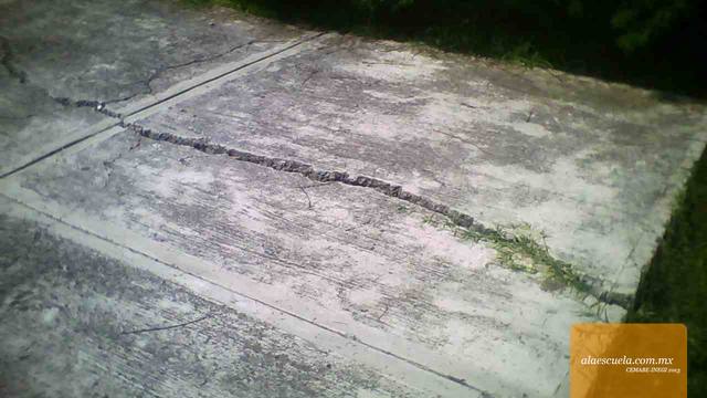 Entrada (vista previa)