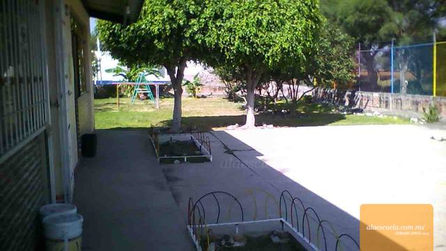 Entrada (vista previa)