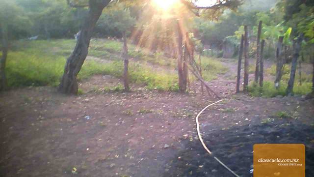 Entrada (vista previa)