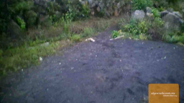 Entrada (vista previa)