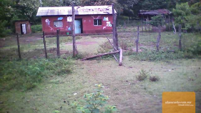 Entrada (vista previa)