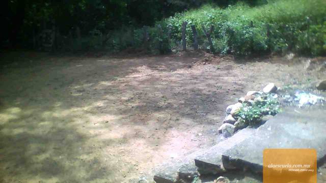 Entrada (vista previa)