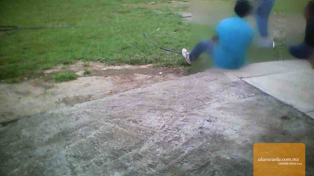 Entrada (vista previa)