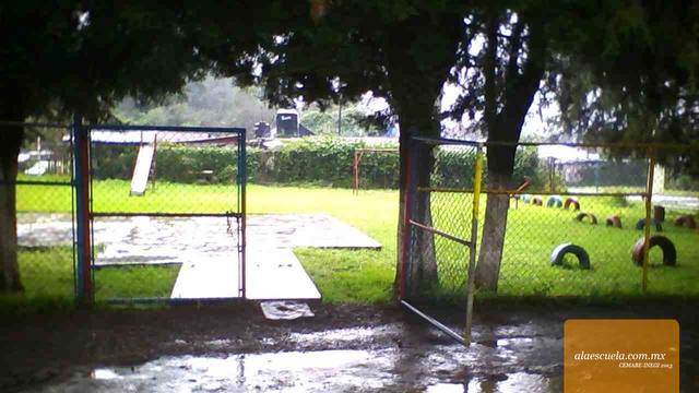 Entrada (vista previa)