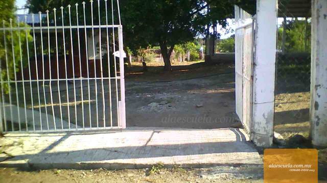 Entrada (vista previa)