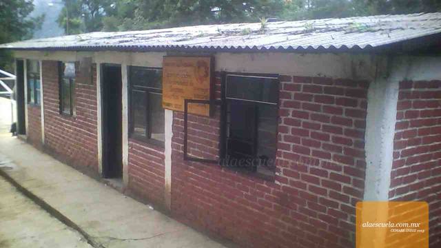 Entrada (vista previa)