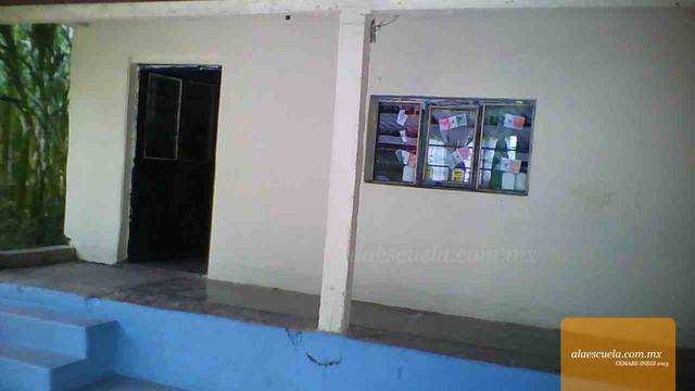 Entrada (vista previa)