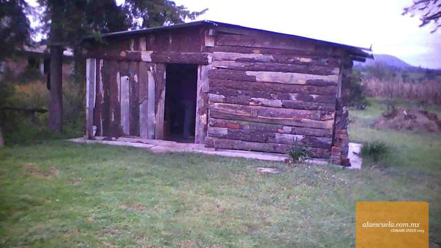 Entrada (vista previa)