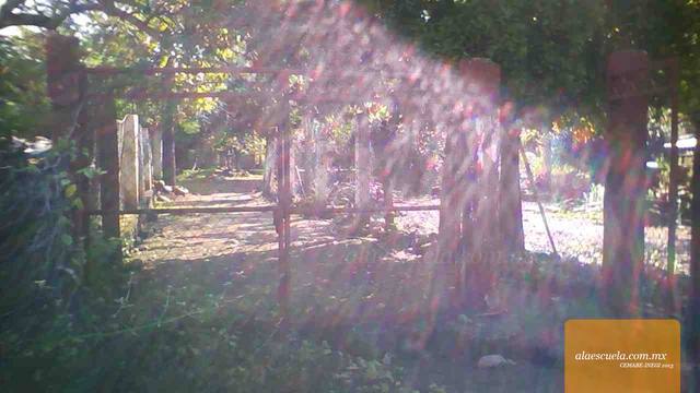 Entrada (vista previa)