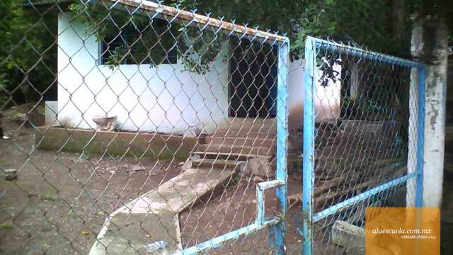 Entrada (vista previa)