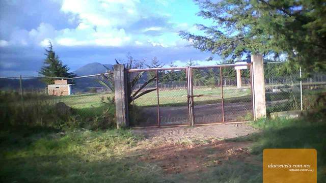 Entrada (vista previa)