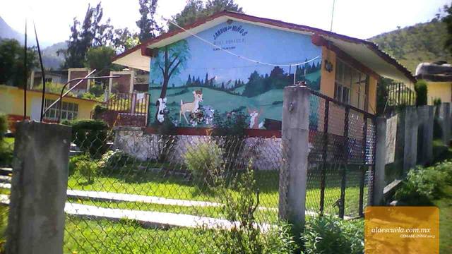 Entrada (vista previa)