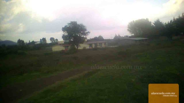 Entrada (vista previa)