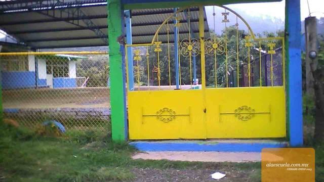 Entrada (vista previa)