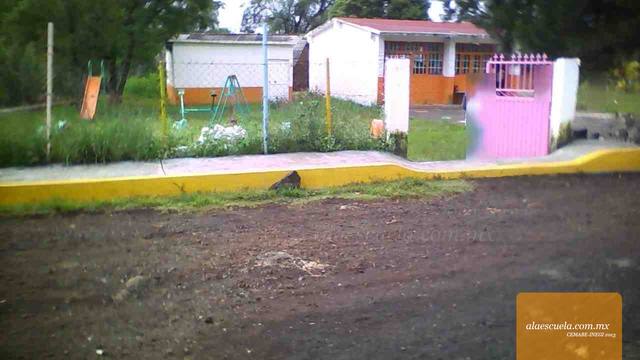 Entrada (vista previa)