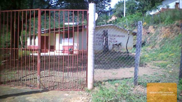 Entrada (vista previa)