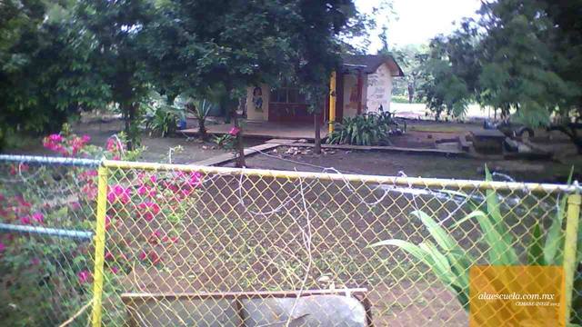 Entrada (vista previa)