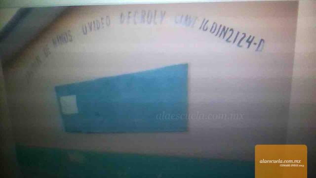 Entrada (vista previa)