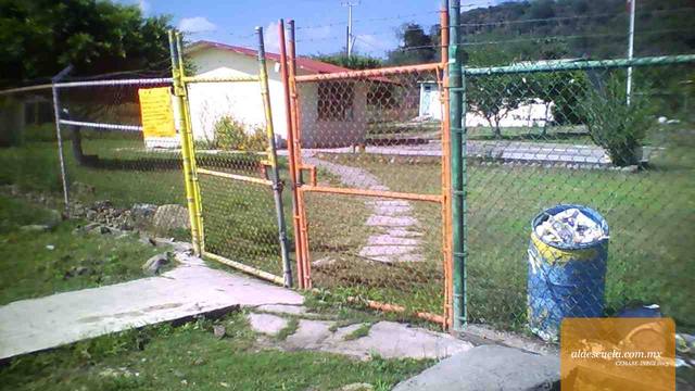 Entrada (vista previa)