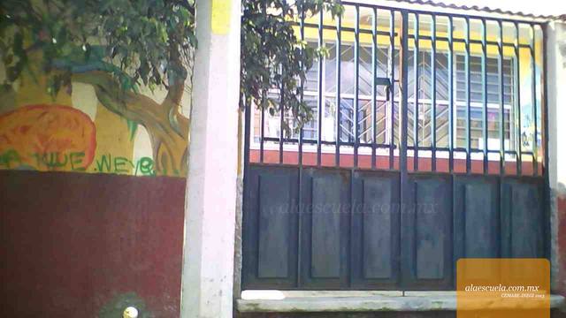 Entrada (vista previa)