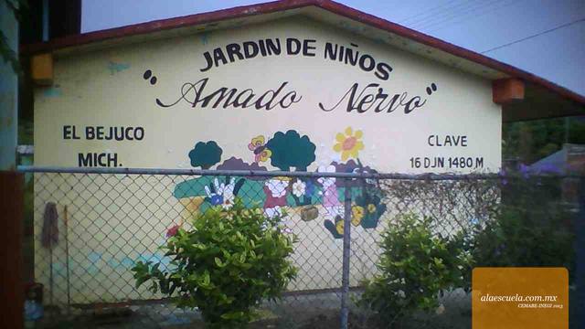 Entrada (vista previa)