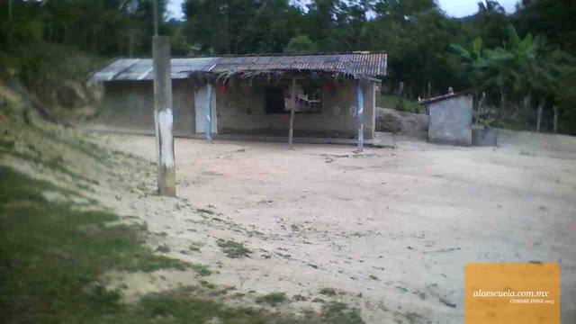 Entrada (vista previa)