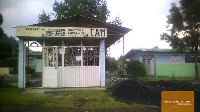 Entrada (vista previa)