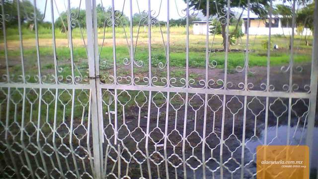 Entrada (vista previa)