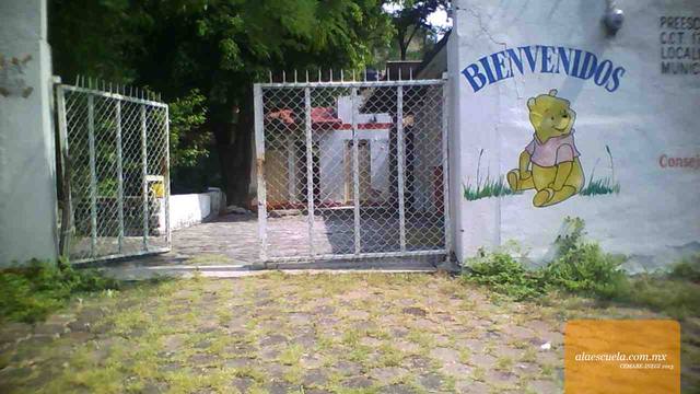 Entrada (vista previa)