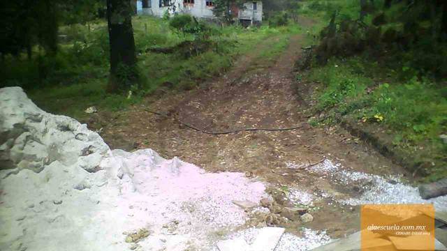 Entrada (vista previa)