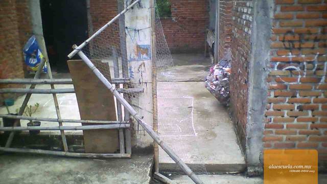 Entrada (vista previa)