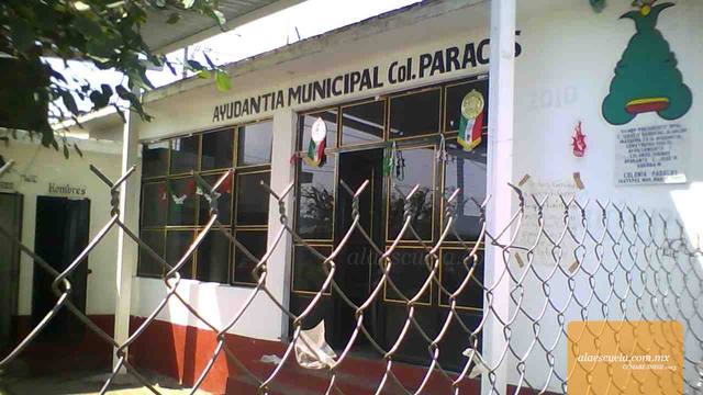 Entrada (vista previa)