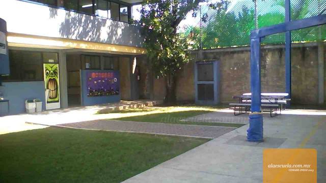 Áreas (vista previa)