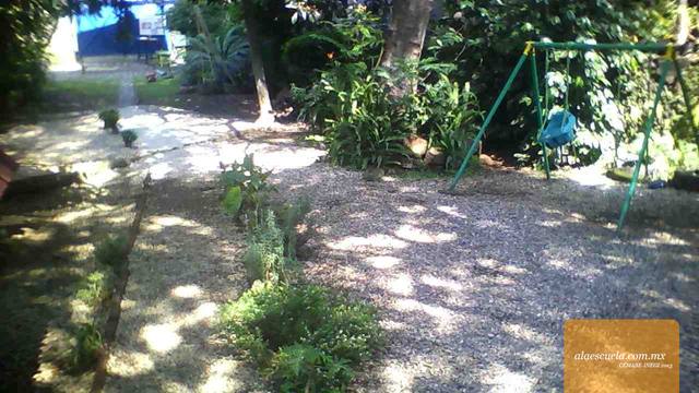 Áreas (vista previa)