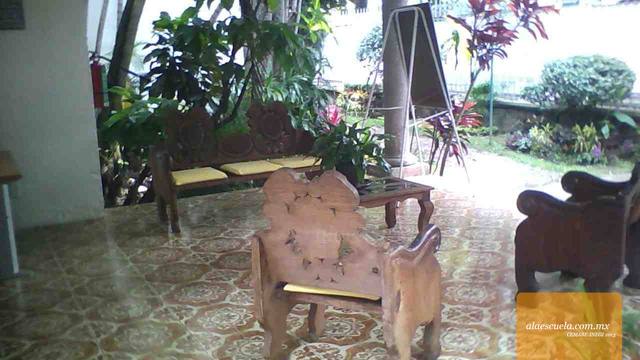 Áreas (vista previa)