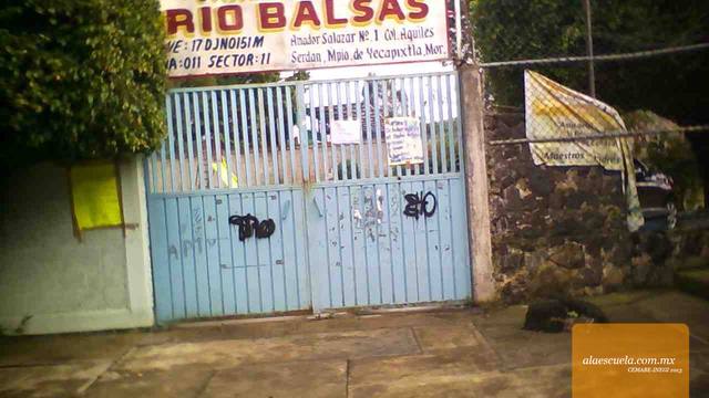 Entrada (vista previa)