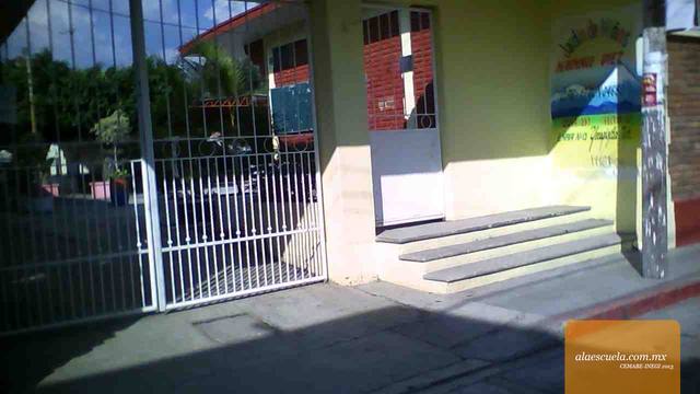 Entrada (vista previa)