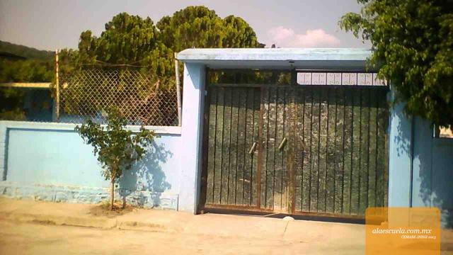 Entrada (vista previa)