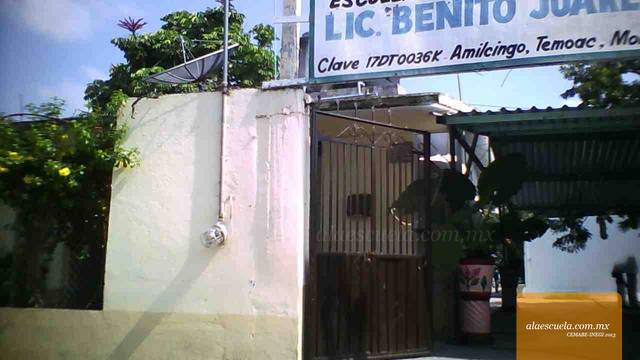 Entrada (vista previa)